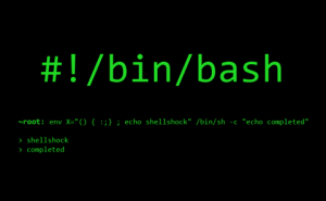 raspberry pi home server bash shellshock